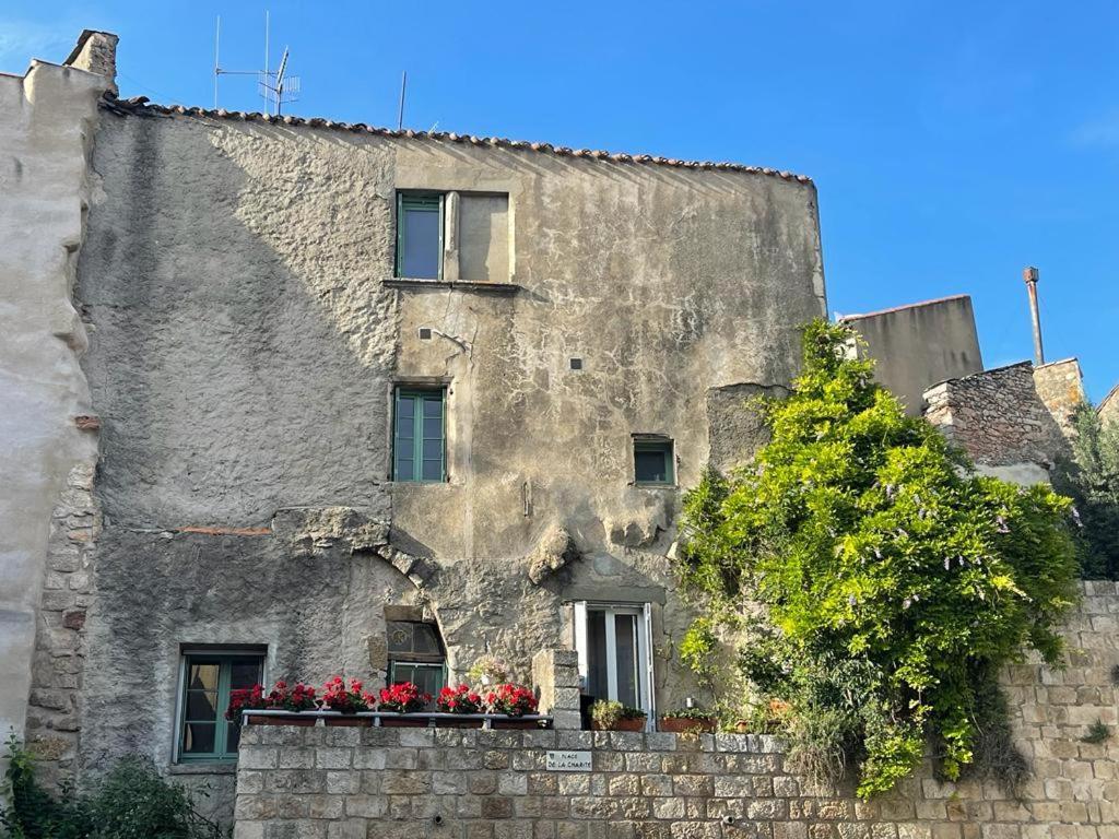 Au Perchoir Apartment Caunes-Minervois Exterior photo